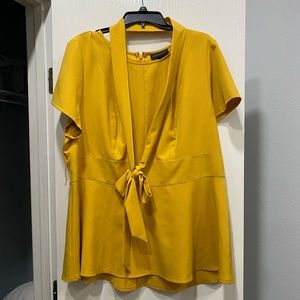 Lane Bryant Lena top round neck